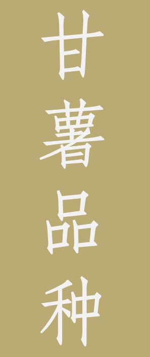 水稻新品种展示图