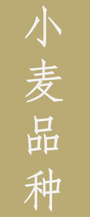水稻新品种展示图