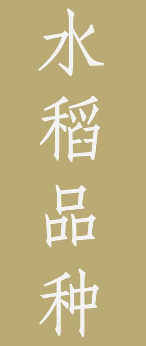 小麦新品种展示图